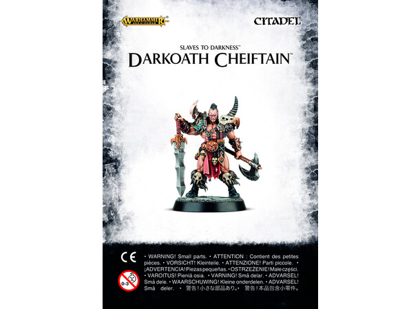 Slaves to Darkness Darkoath Chieftain Warhammer Age of Sigmar 